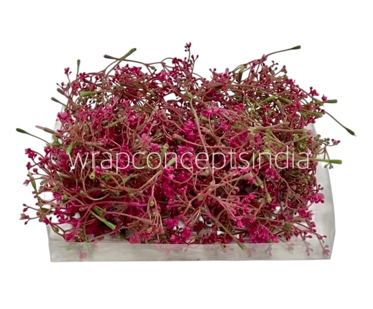 Magenta Floret Leaves