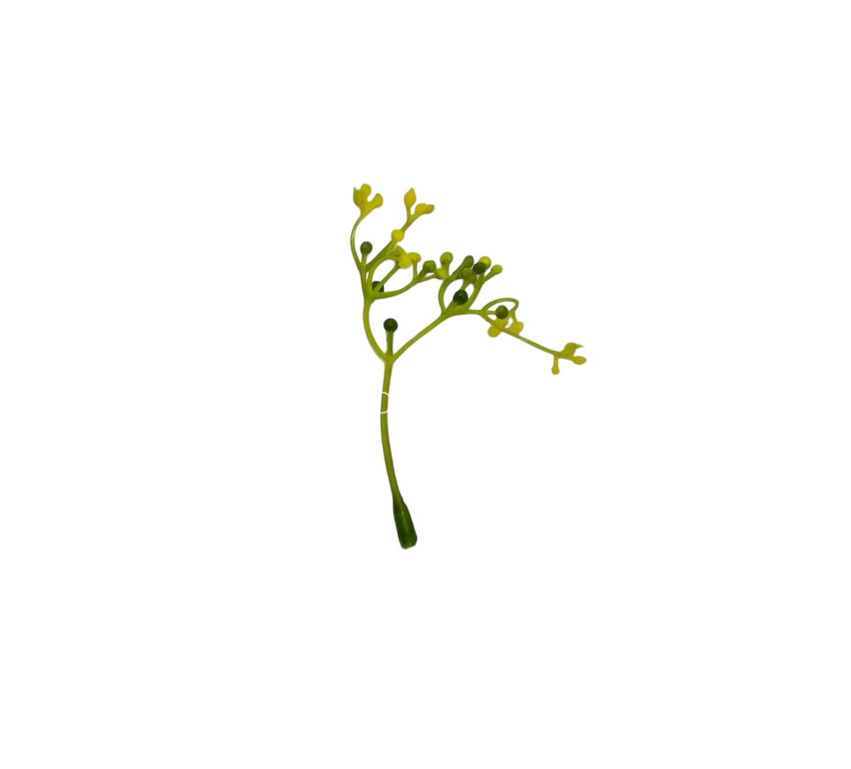 Yellow Floret Leaves