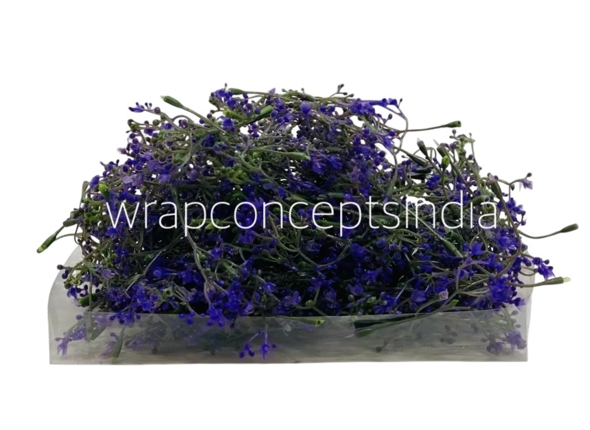 Purple Floret Leaves