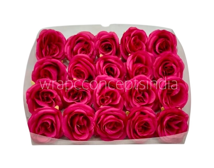 Fuchsia Roses
