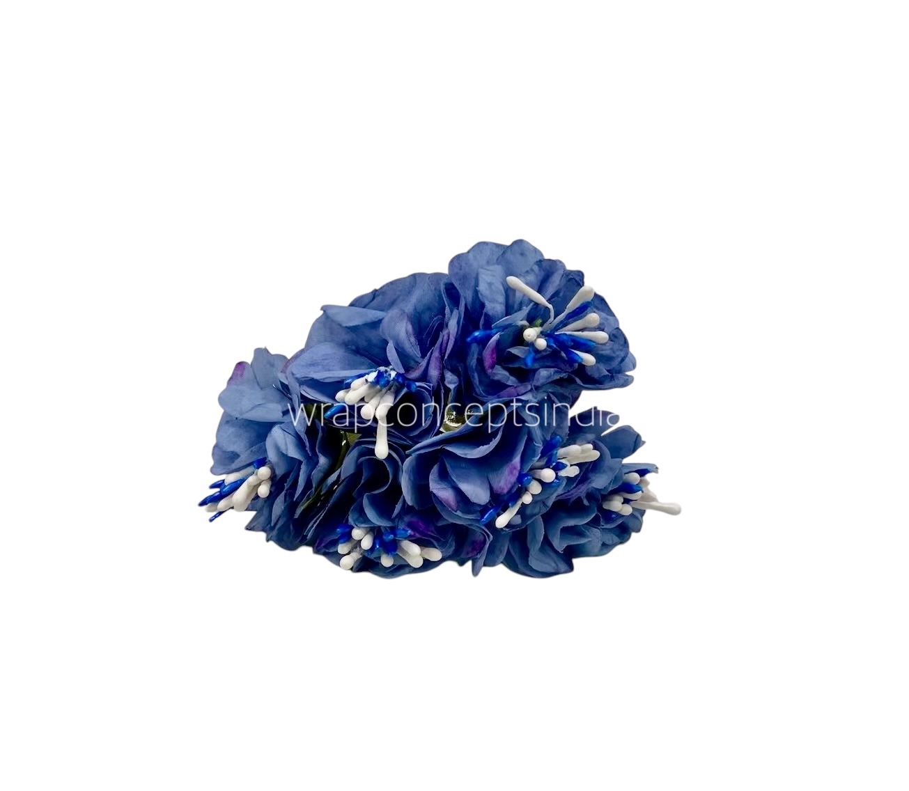 Cornflower Blue Windflower