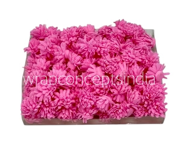 Pink Foam Carnation