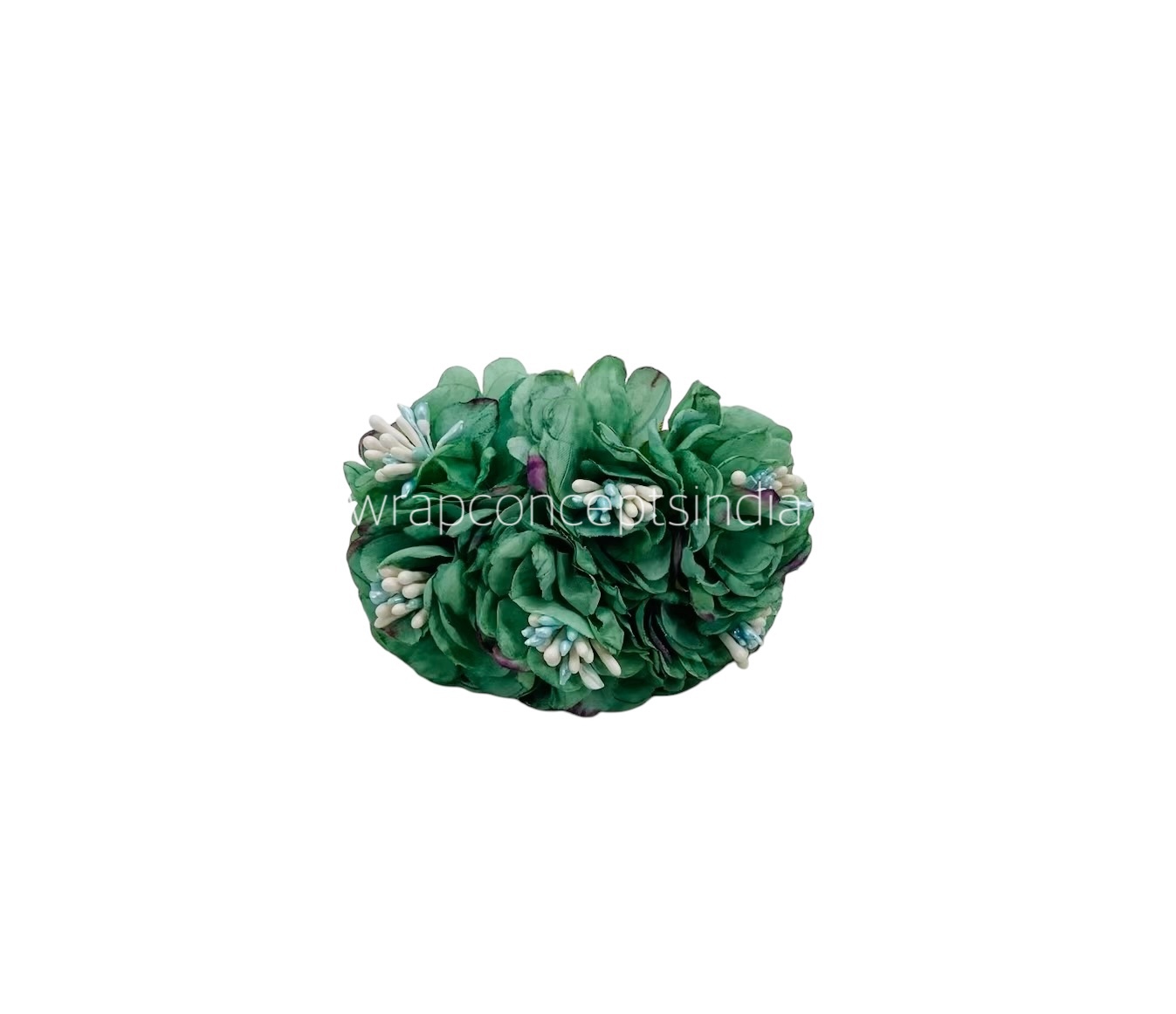 Jungle Green Windflower Jungle Green Windflower