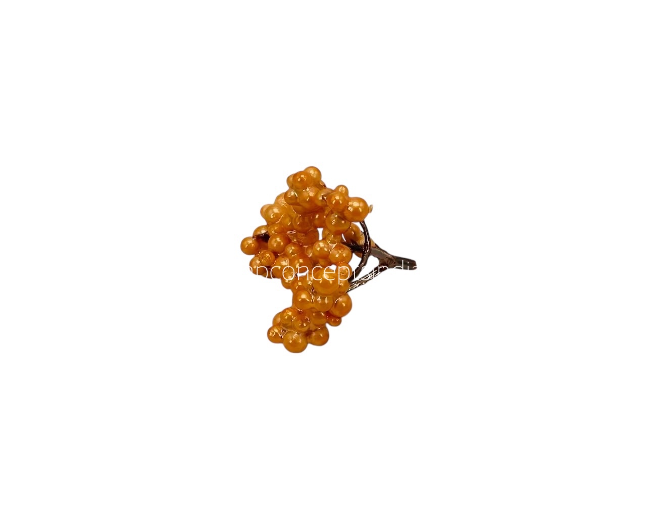 Orange Small Fern