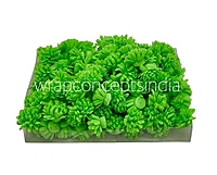 Green Foam Carnation