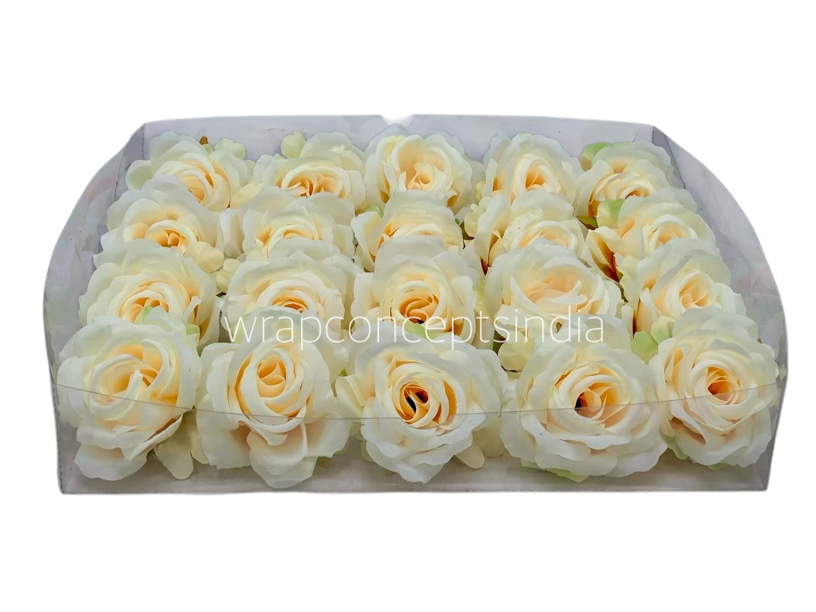 Rose Small – Lemon