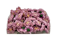 Dusky Mauve Small Dahlias