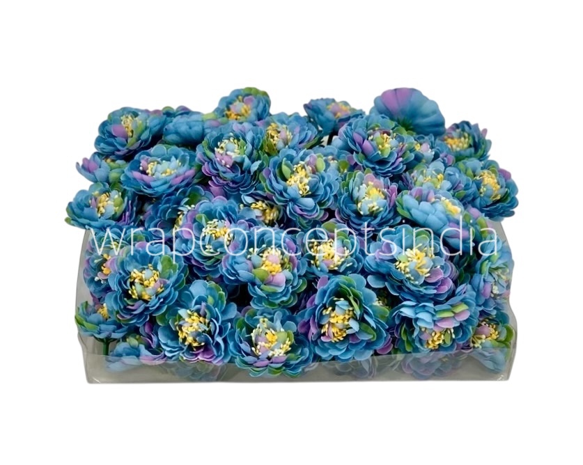 Blue Shaded Small Dahlias