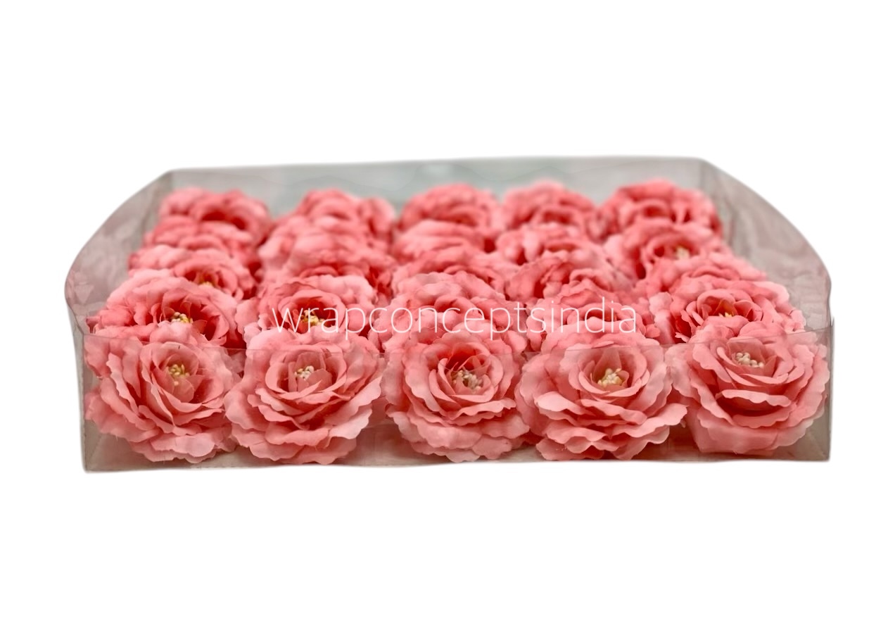 Peach Burst Open Rose