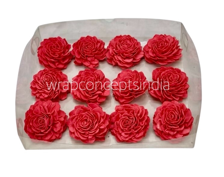 Coral Sola Wood Dahlia