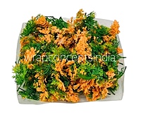 Green Fern Leaves with Orange Edges