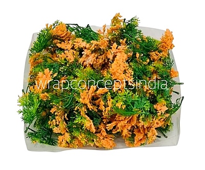 Green Fern Leaves with Orange Edges