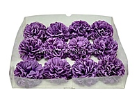 Dark Puple Green Carnation