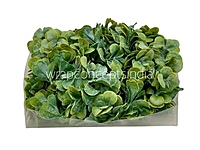 Faux Eucalyptus Succulent - Light Green