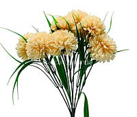 Carnation Bunch - Mullticolour