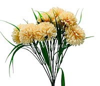 Carnation Bunch - Mullticolour