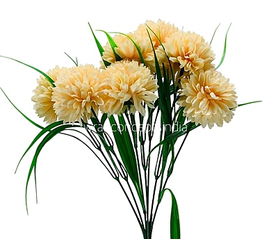 Carnation Bunch - Mullticolour