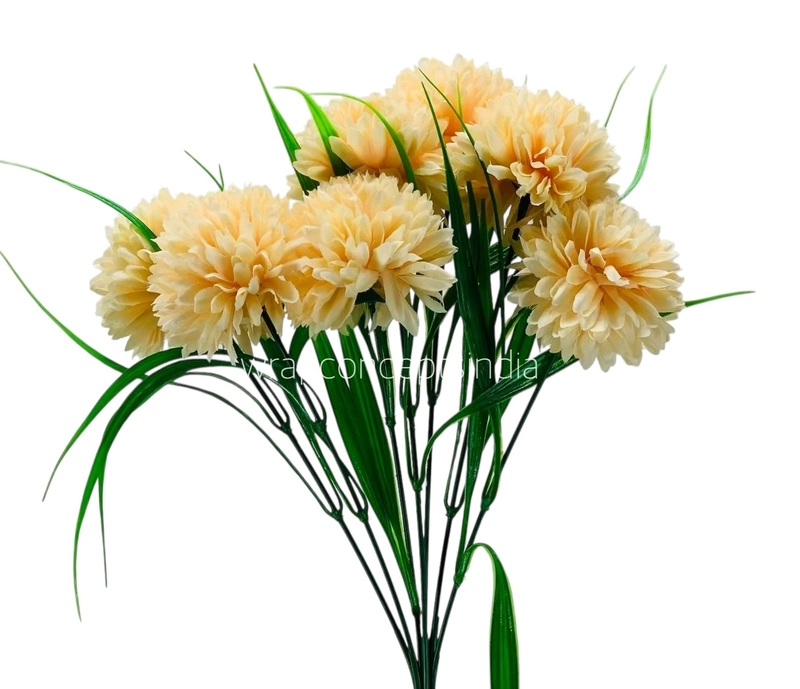 Carnation Bunch - Mullticolour