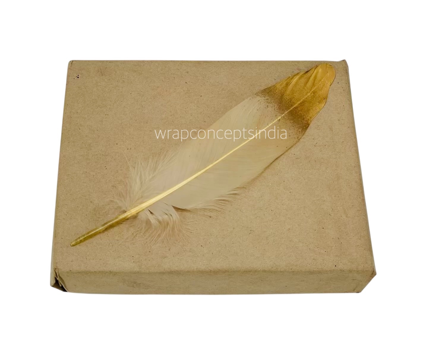 Faux Feather with Gold Edges