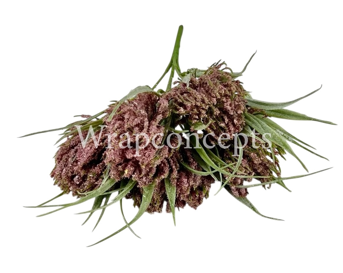 Fern Bunch with Big Frosted Conifers