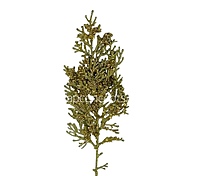 Glitter Frosted Fern Stick