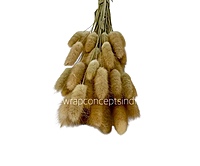 Preserved Bunny Tails-Teal