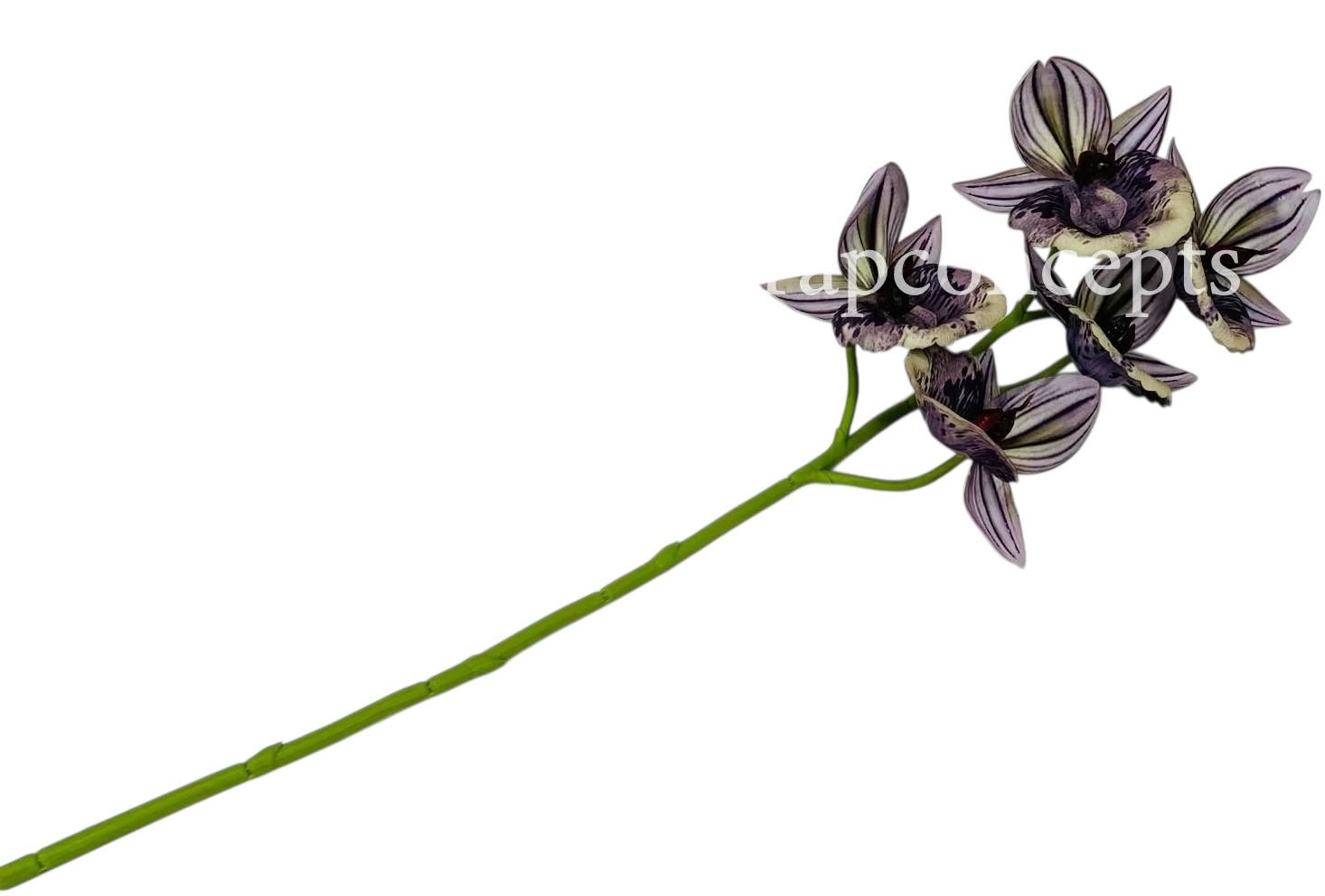 Orchid Sticks - Multicolor