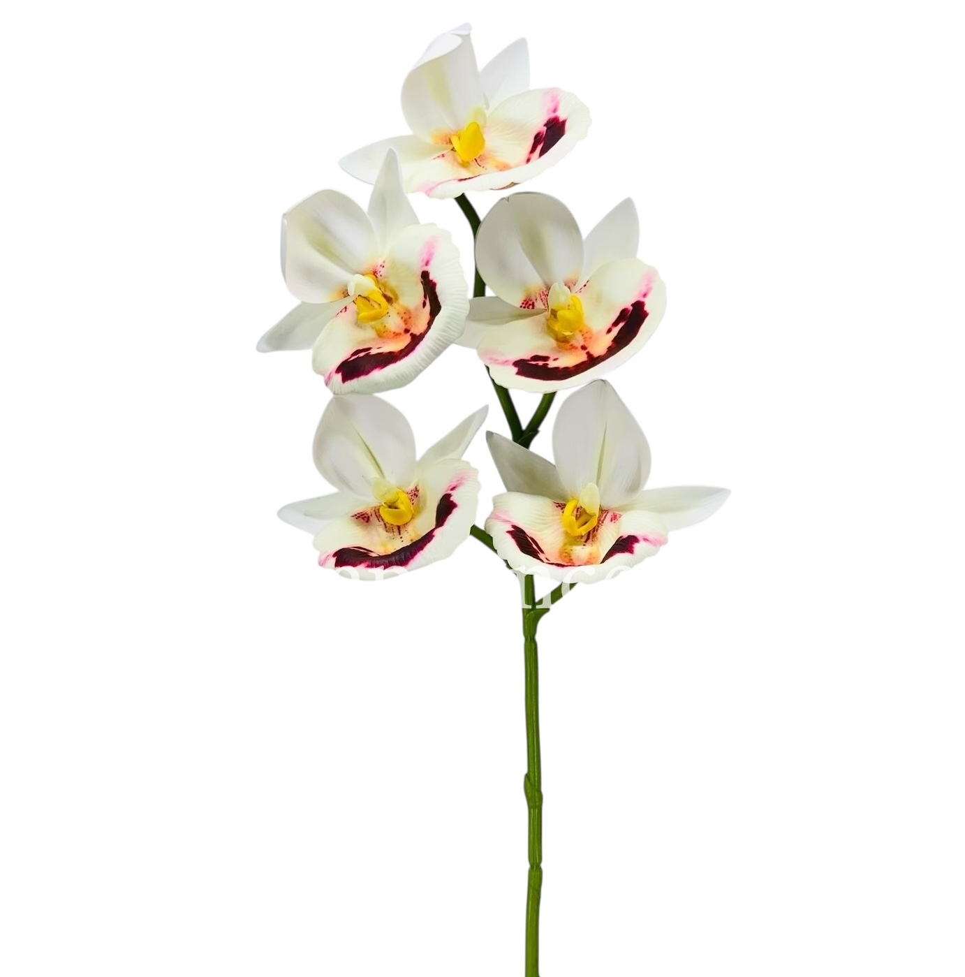 Orchid Sticks - Multicolor