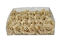 Champagne Rose With Pearls Center