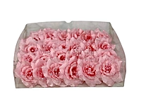 Rouge Rose With Pearls Center
