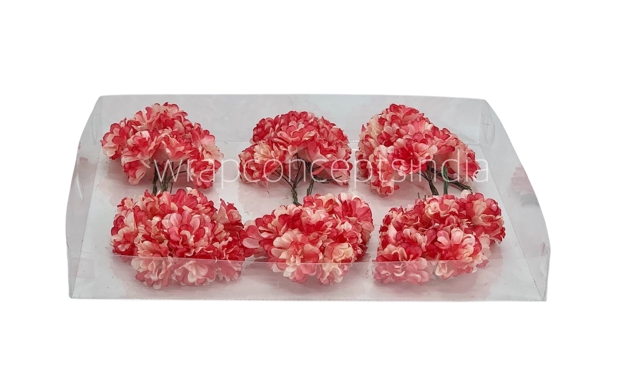 Chrysanthemum - Ivory & Coral Shaded