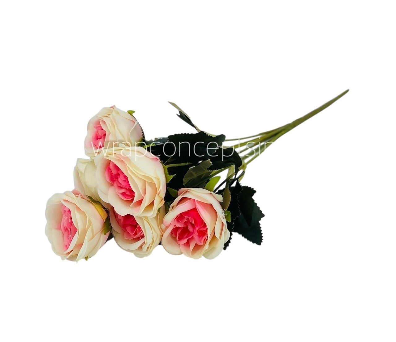 Ivory with hints of hot Pink Peony Bunch