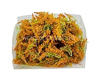 Trio Frosted Fern Leaves - Orange