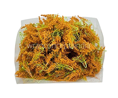 Trio Frosted Fern Leaves - Orange