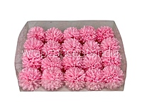 Carnation - Bubblegum Pink