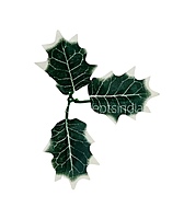 Green & White Shaded Birch Leaves
