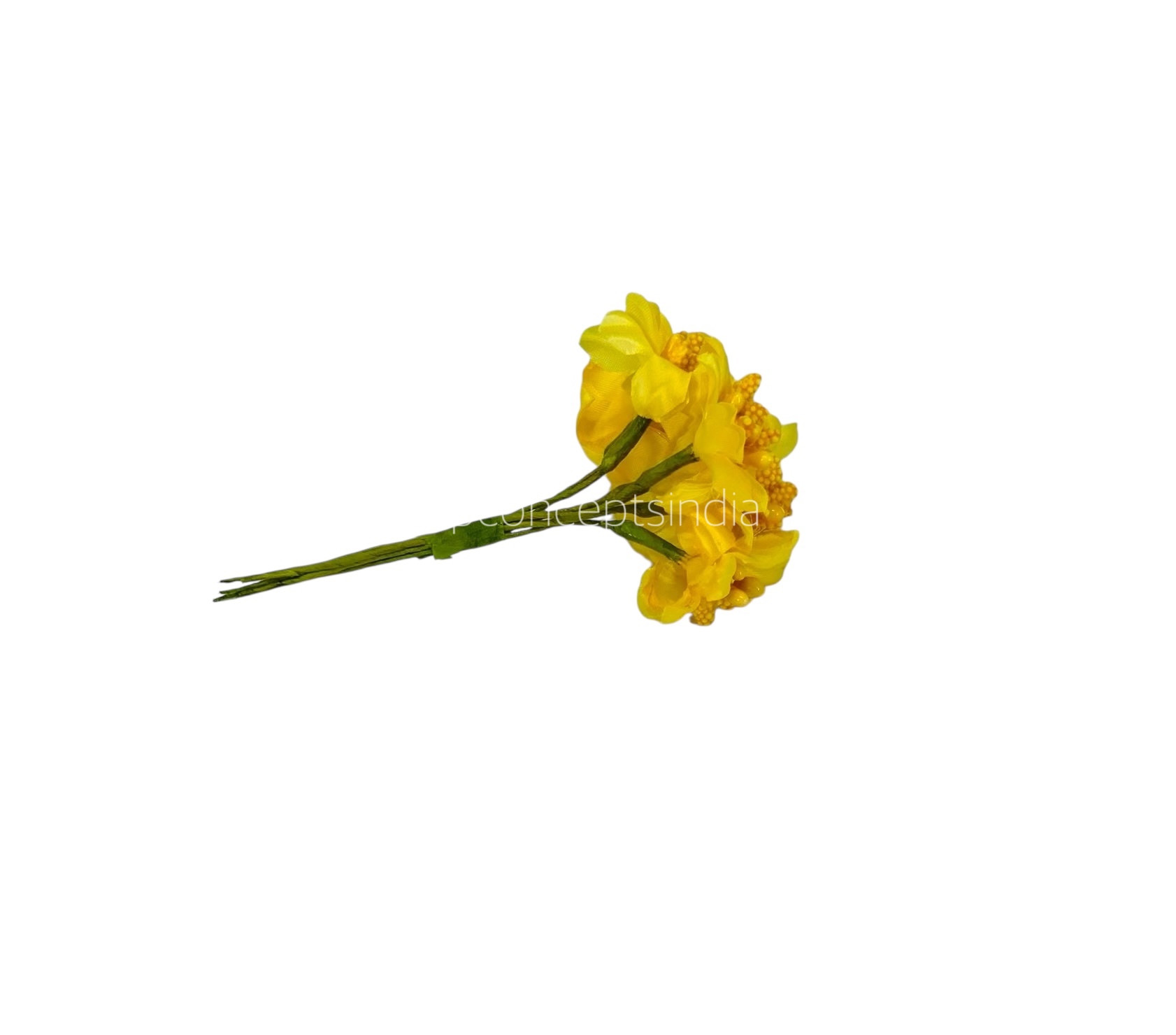 Yellow Flower with Yellow Pollen