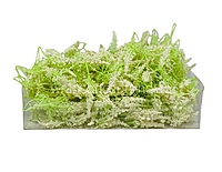 Trio Frosted Fern Leaves - Ivory
