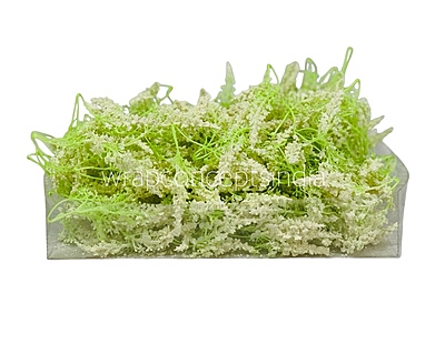 Trio Frosted Fern Leaves - Ivory