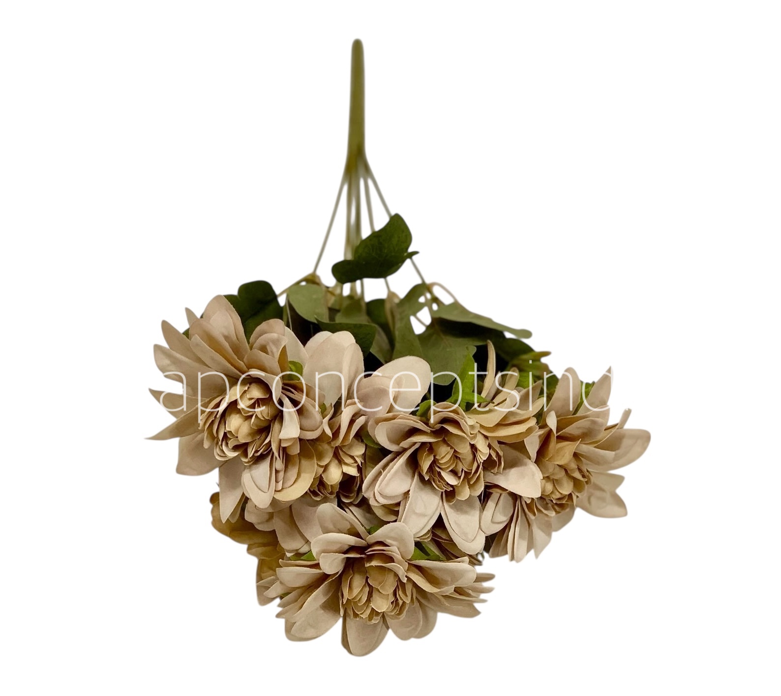 Dahlia Bunch with Leaves Dahlia Bunch with Leaves