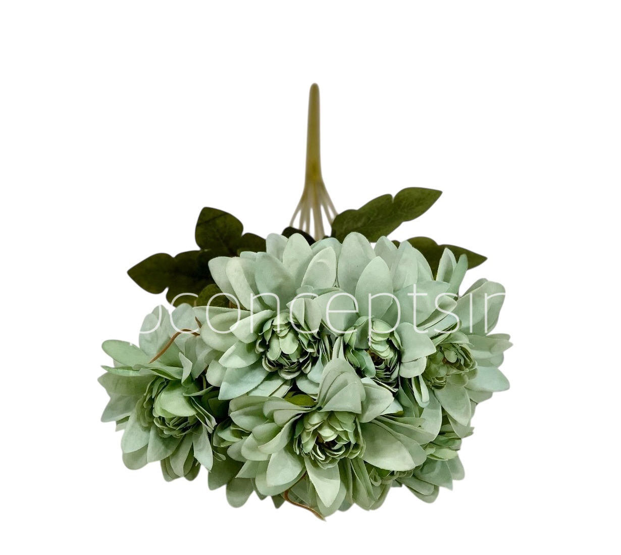 Dahlia Bunch with Leaves Dahlia Bunch with Leaves