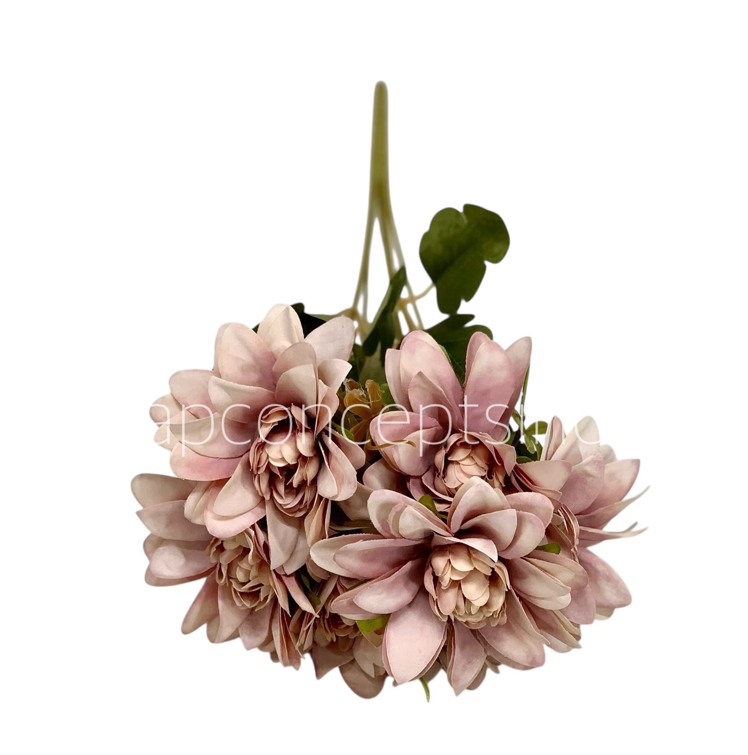 Dahlia Bunch with Leaves Dahlia Bunch with Leaves