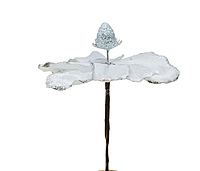 Medium Flower with Glitter Edges- Gold