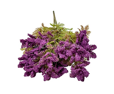 Frosted Wildflower Bush