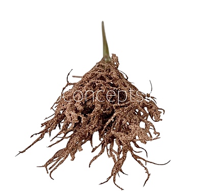 Frosted Willow Spray