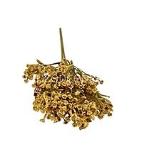 Frosted Heather Bush-Rust