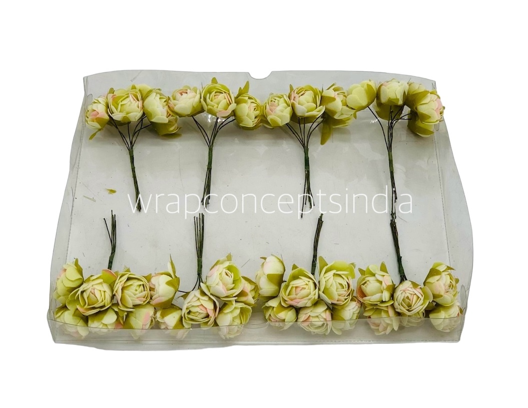 Lime with hints of Pink Close Peony