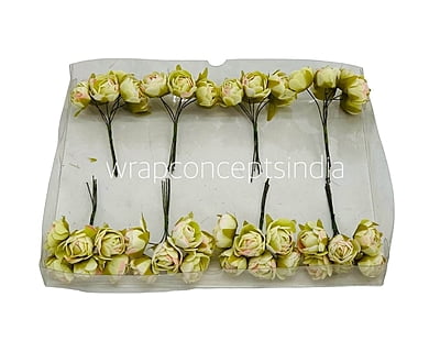 Lime with hints of Pink Close Peony