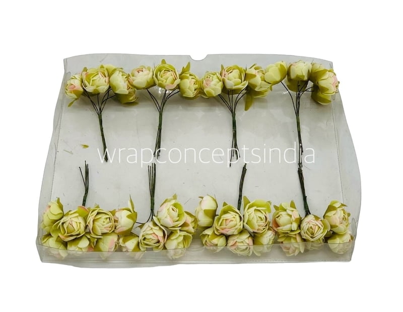 Lime with hints of Pink Close Peony