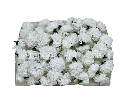 Small Carnation - White